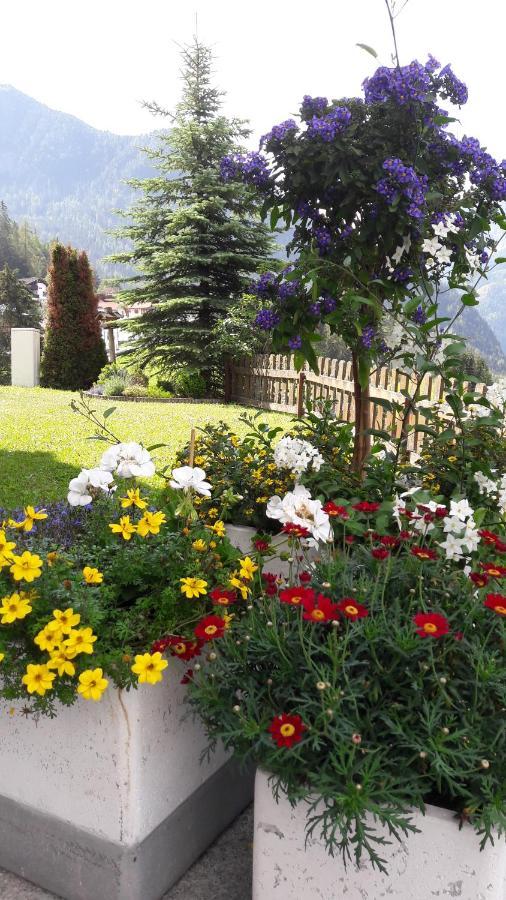 제르젠스 Haus Edelweiss B&B 외부 사진